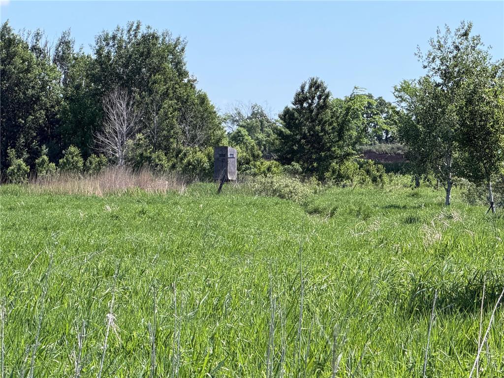 16698 130th Street Milaca Twp MN 56330 7087719 image1