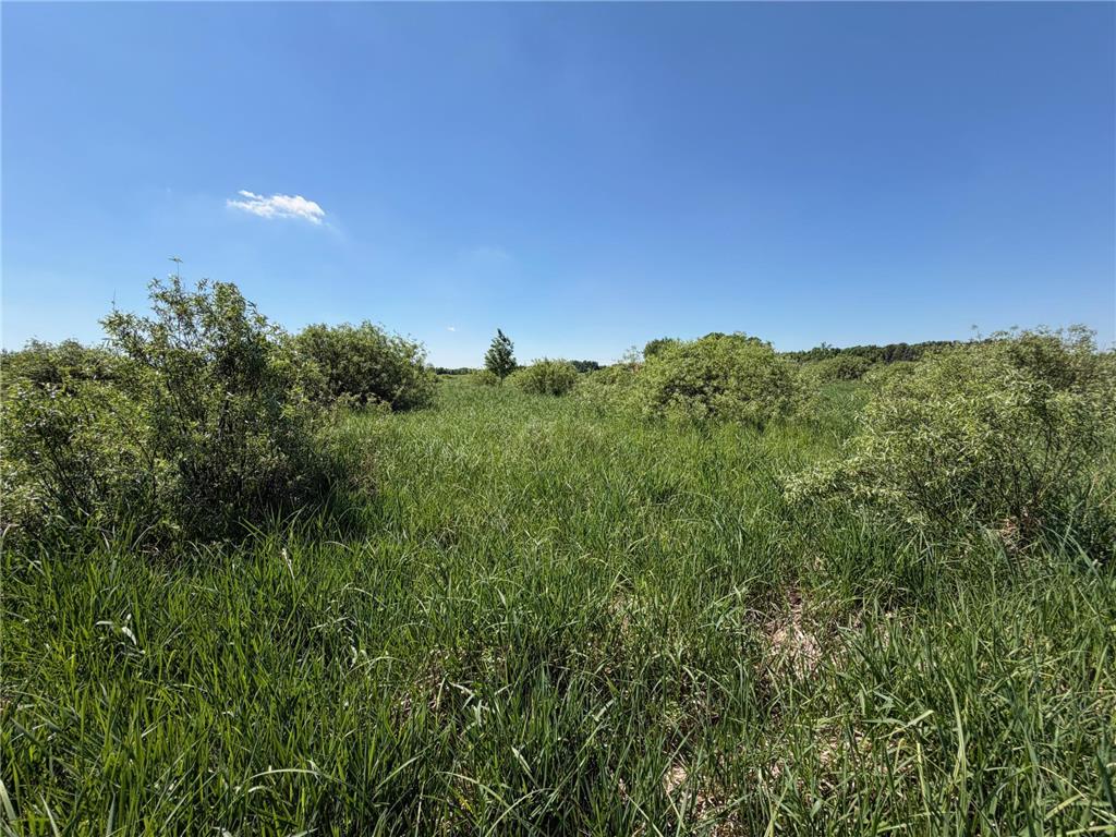 16698 130th Street Milaca Twp MN 56330 7087719 image10