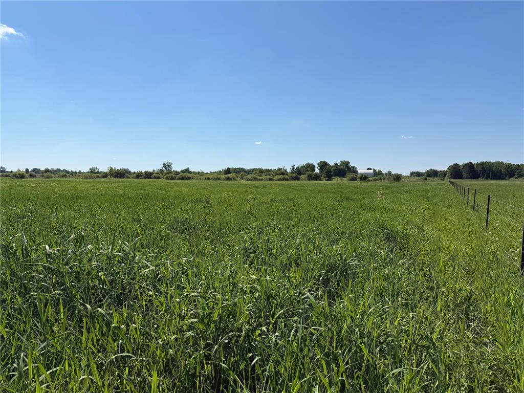 16698 130th Street Milaca Twp MN 56330 7087719 image11