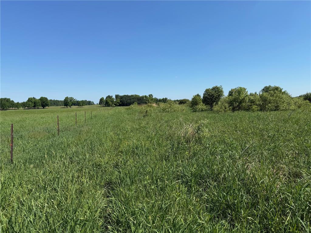 16698 130th Street Milaca Twp MN 56330 7087719 image14