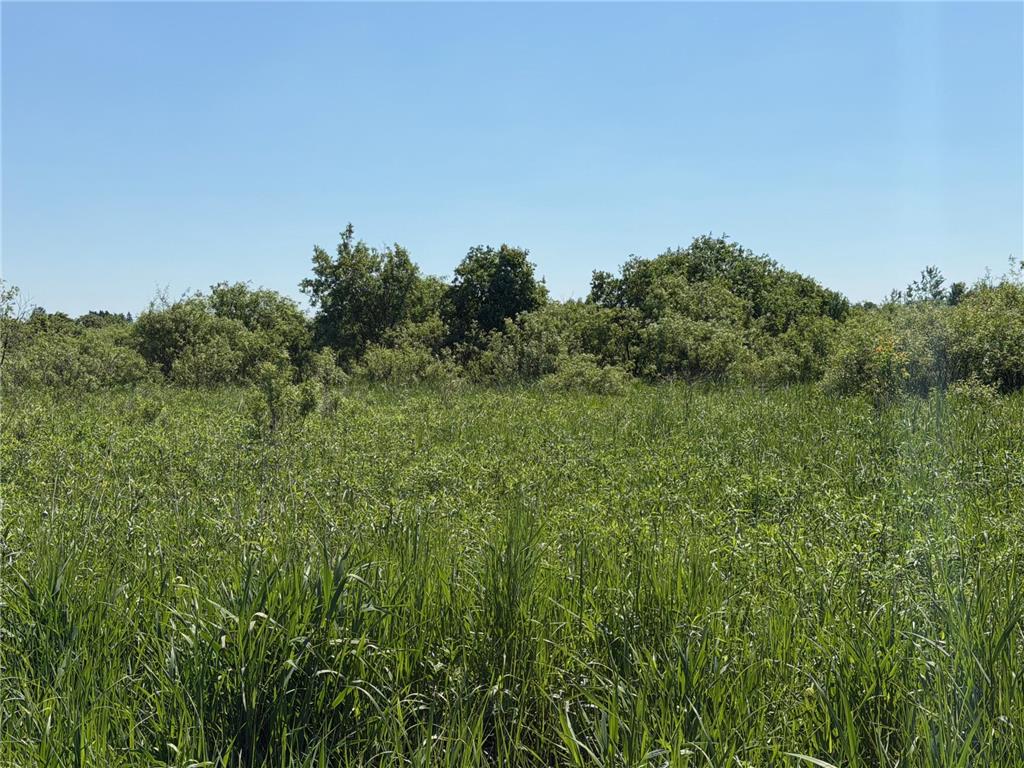 16698 130th Street Milaca Twp MN 56330 7087719 image15