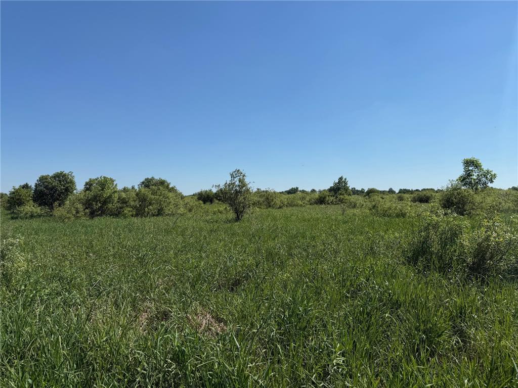 16698 130th Street Milaca Twp MN 56330 7087719 image16