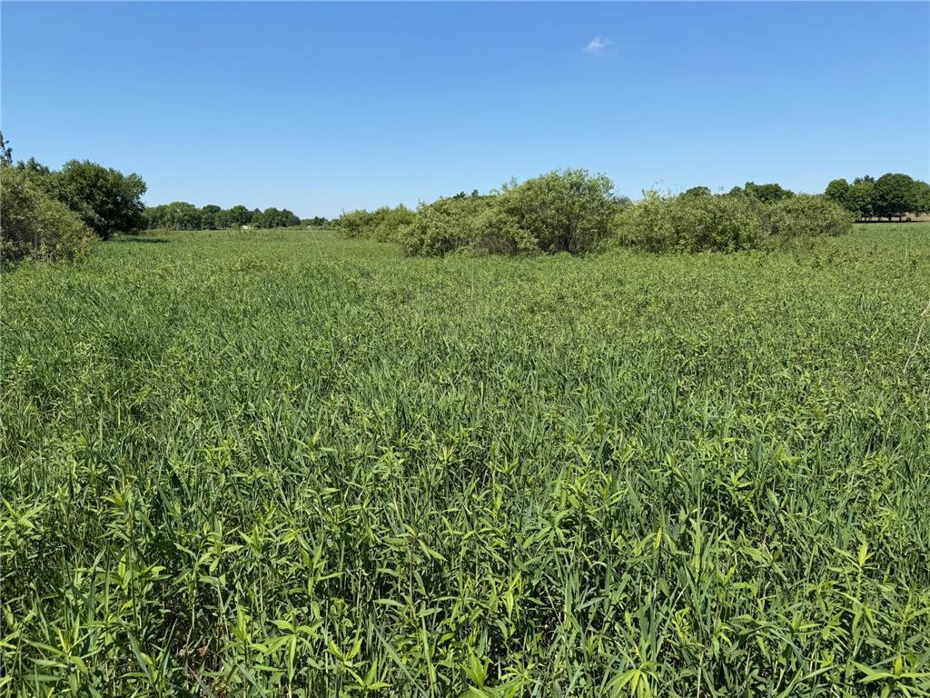 16698 130th Street Milaca Twp MN 56330 7087719 image18