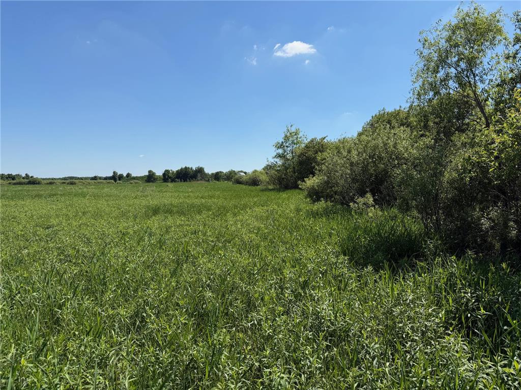 16698 130th Street Milaca Twp MN 56330 7087719 image3