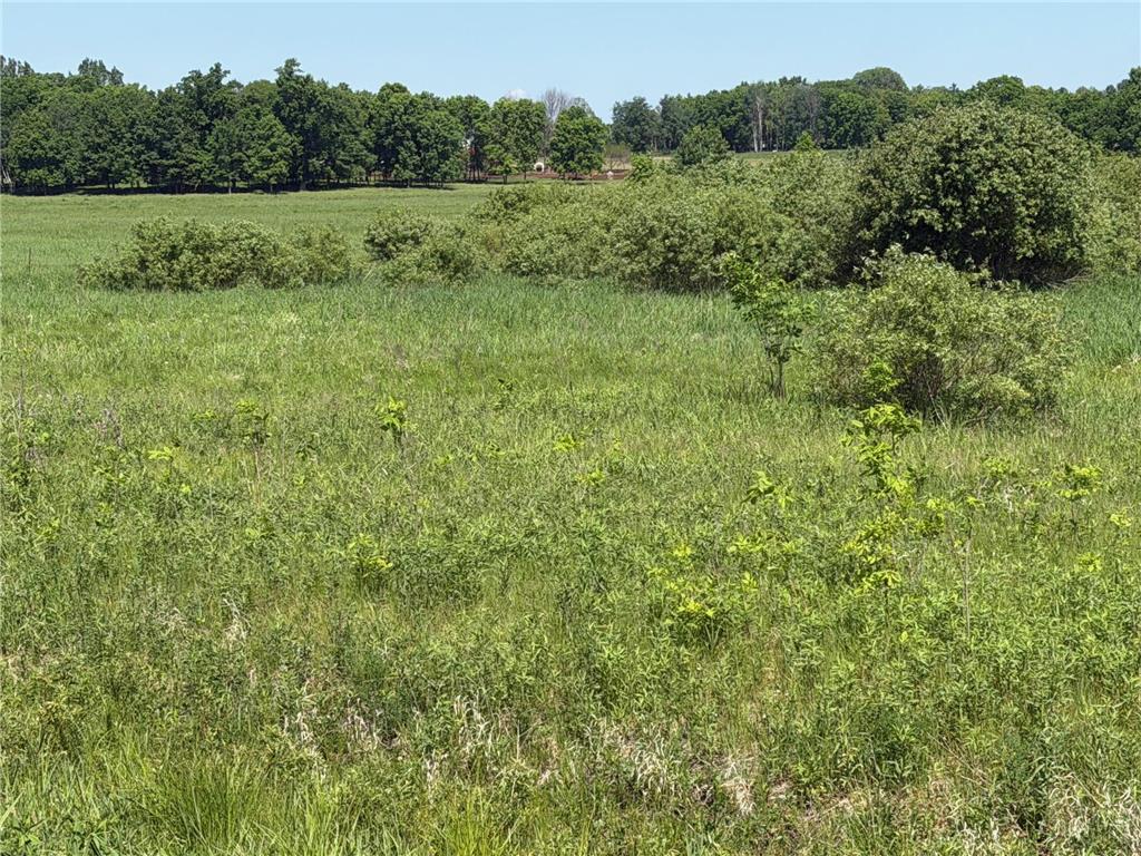 16698 130th Street Milaca Twp MN 56330 7087719 image5