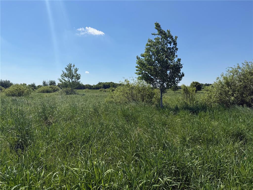 16698 130th Street Milaca Twp MN 56330 7087719 image9