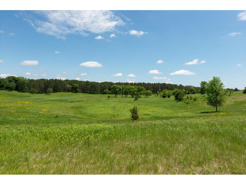 167 Osprey Lane Marine On Saint Croix MN 55047 6694838 image7