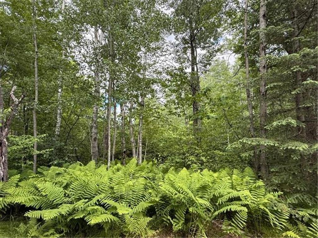 1672 County Road 146 Clear Creek Unorg. Terr. MN 55749 7094957 image27