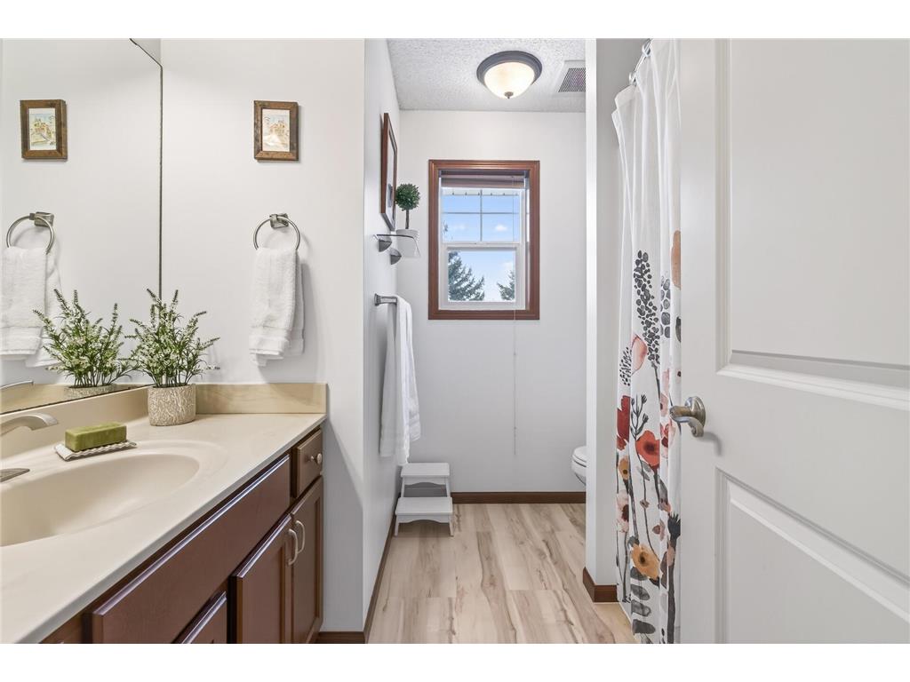 1674 Palomino Street Shakopee MN 55379 7079077 image21