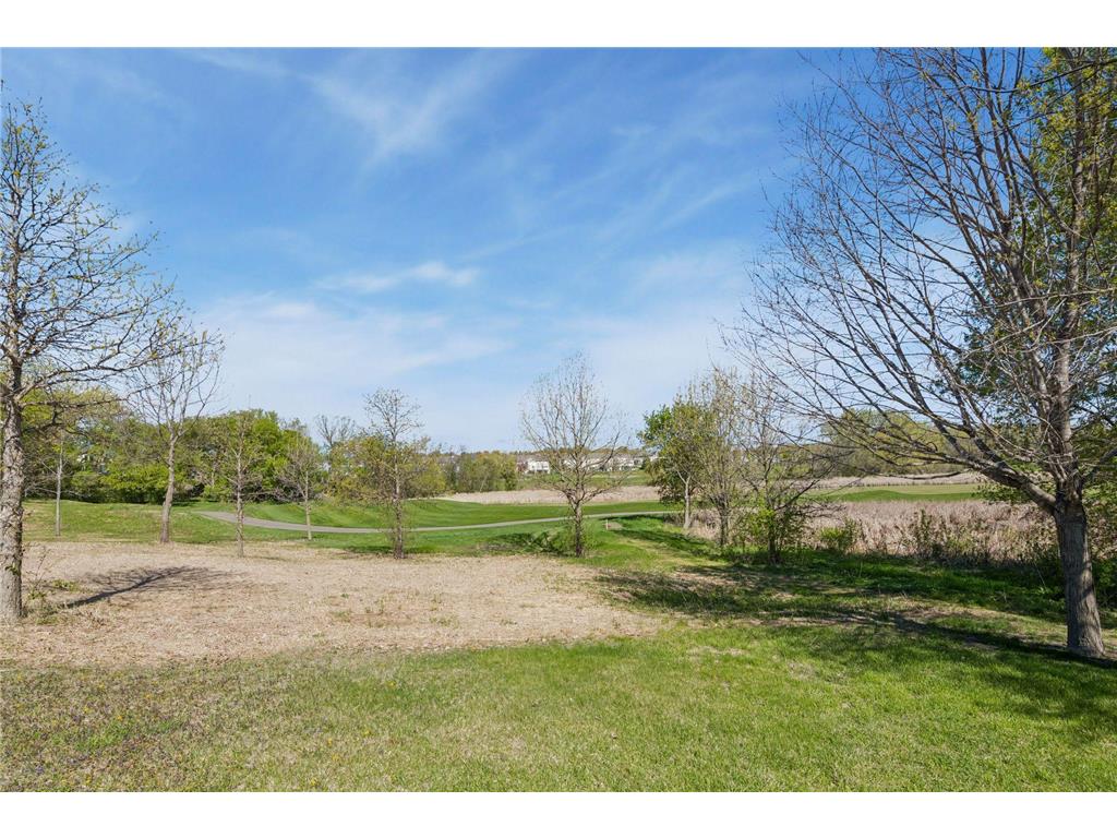 1676 Isabella Parkway Chaska MN 55318 7029497 image64