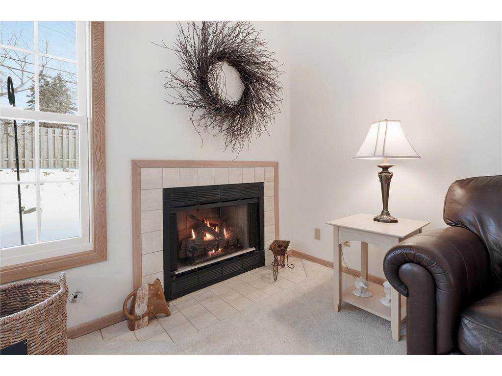 1676 Rose Hill Circle #1676 Lauderdale MN 55108 7006445 image8