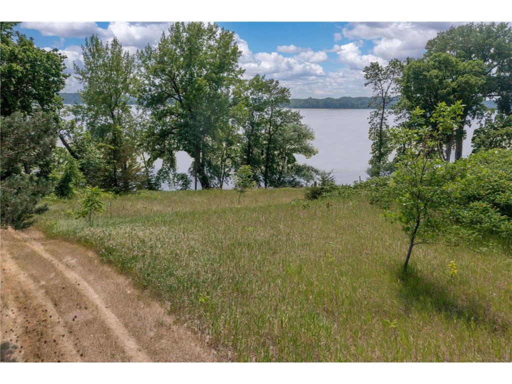 16771 Cram Lane Waterville Twp MN 56096 6391582 image1