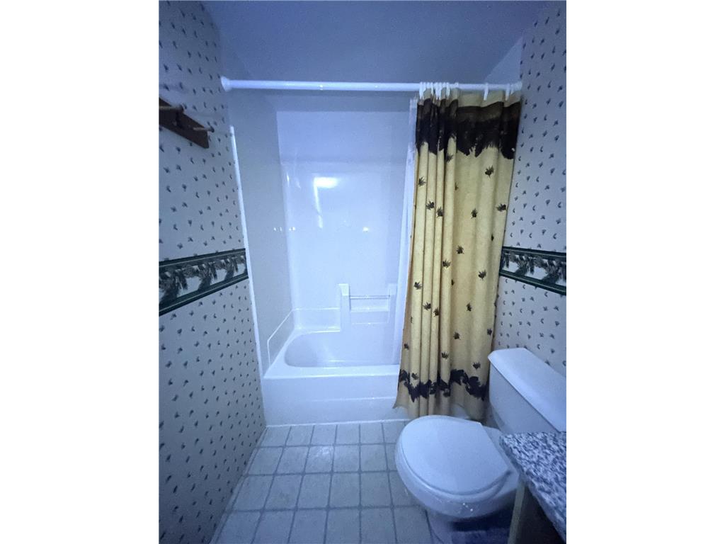 16779 Angle Shoreline Angle Inlet MN 56711 - Lake of The Woods 6763594 image13