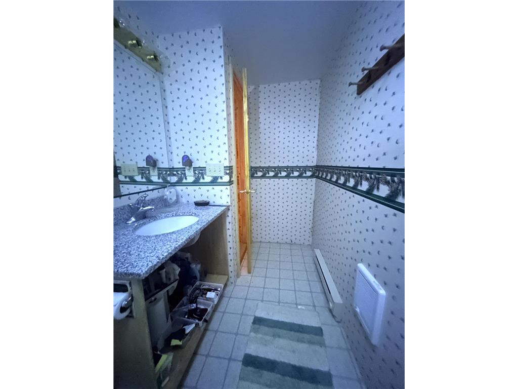 16779 Angle Shoreline Angle Inlet MN 56711 - Lake of The Woods 6763594 image14