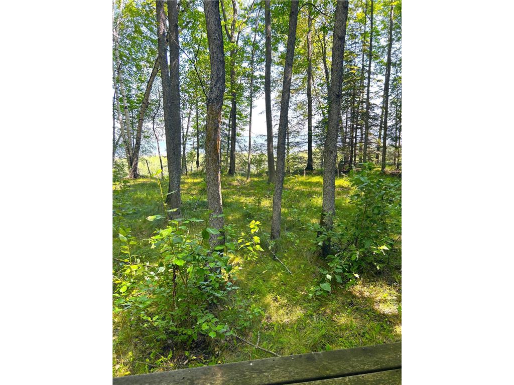 16779 Angle Shoreline Angle Inlet MN 56711 - Lake of The Woods 6763594 image28