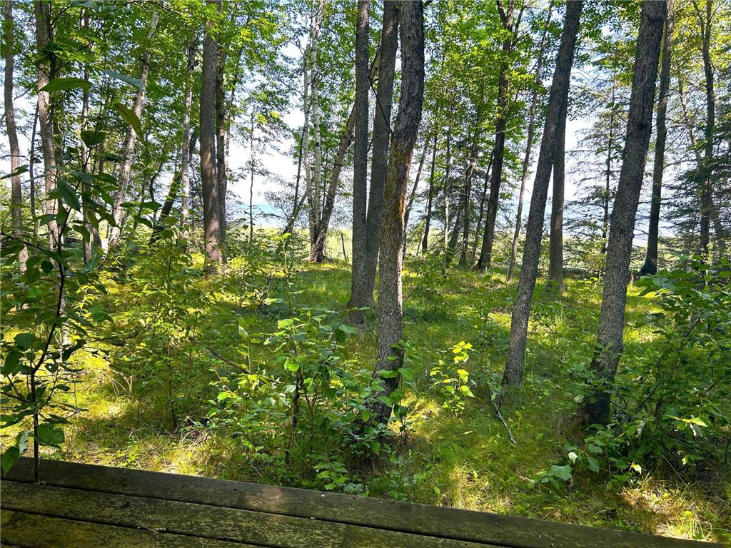 16779 Angle Shoreline Angle Inlet MN 56711 - Lake of The Woods 6763594 image29