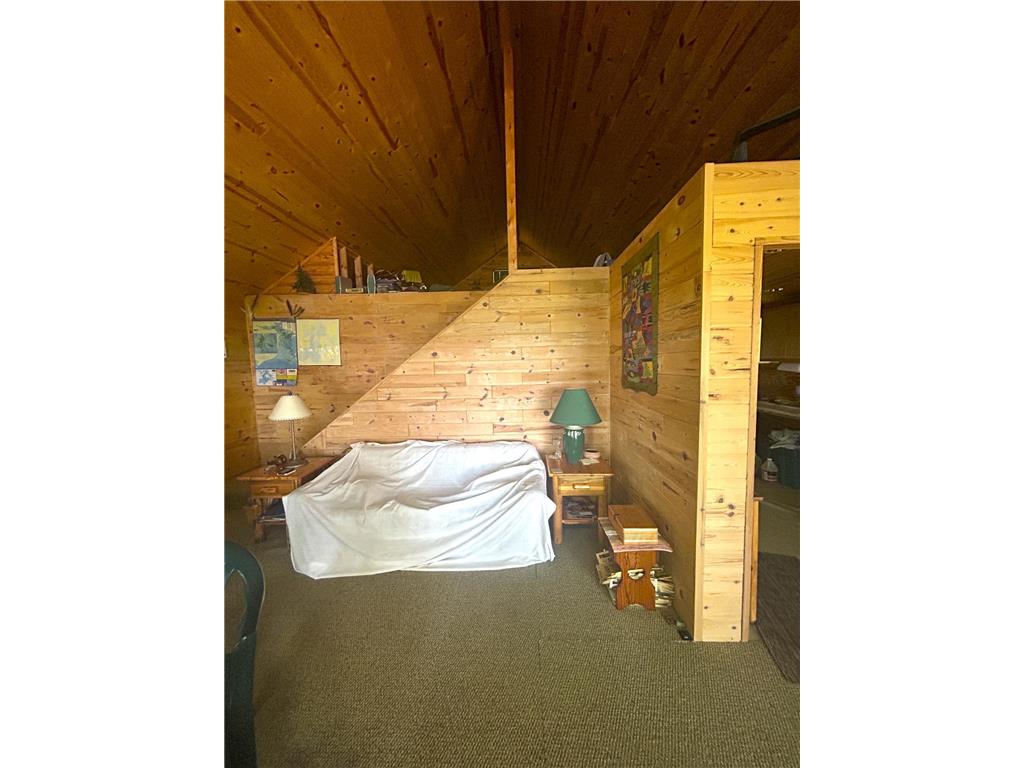 16779 Angle Shoreline Angle Inlet MN 56711 - Lake of The Woods 6763594 image3