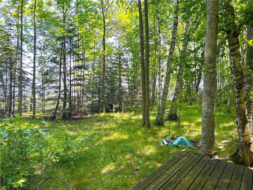 16779 Angle Shoreline Angle Inlet MN 56711 - Lake of The Woods 6763594 image30