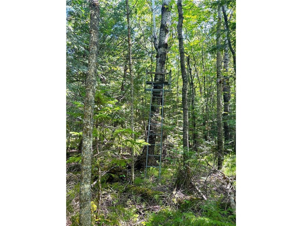 16779 Angle Shoreline Angle Inlet MN 56711 - Lake of The Woods 6763594 image31