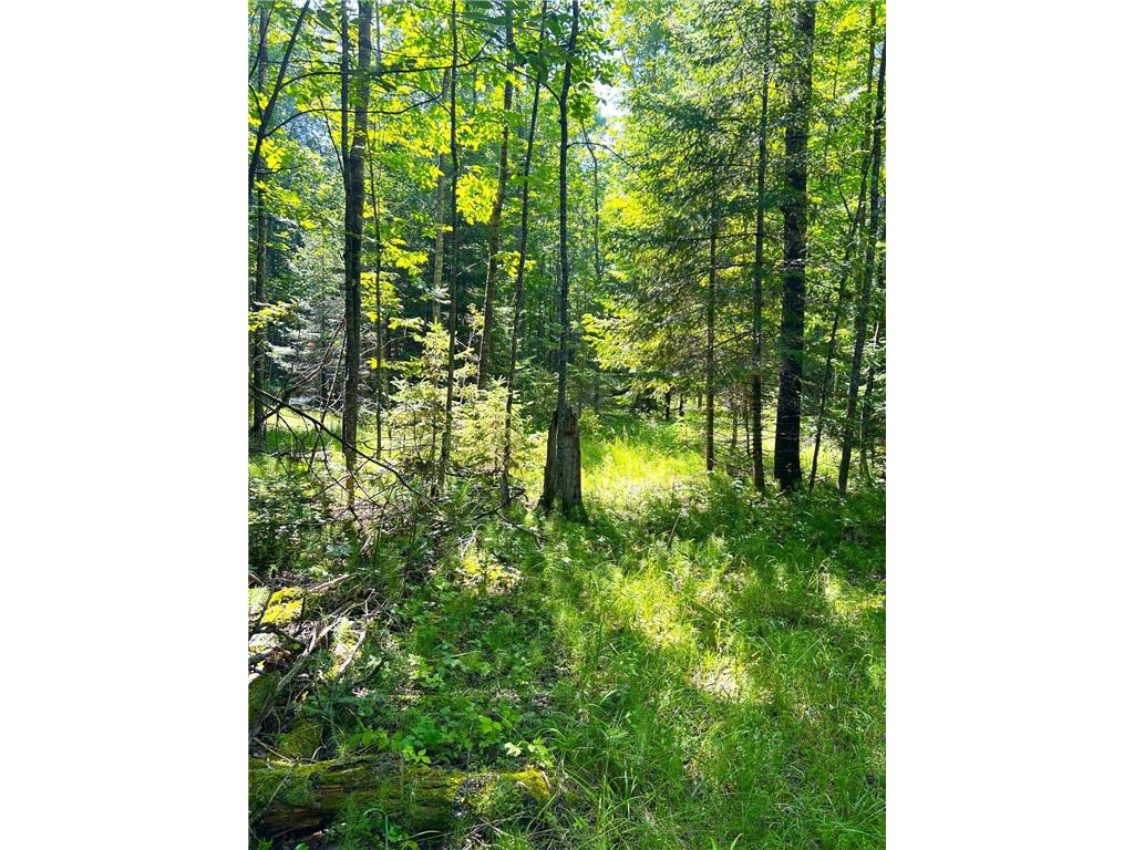 16779 Angle Shoreline Angle Inlet MN 56711 - Lake of The Woods 6763594 image32