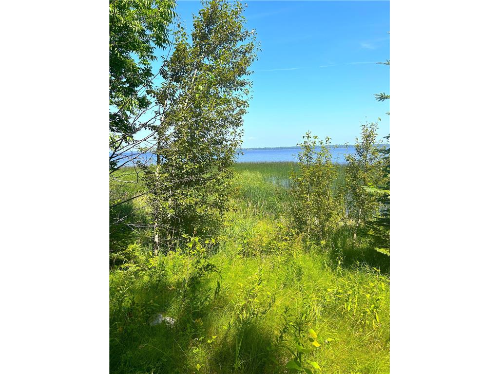 16779 Angle Shoreline Angle Inlet MN 56711 - Lake of The Woods 6763594 image33