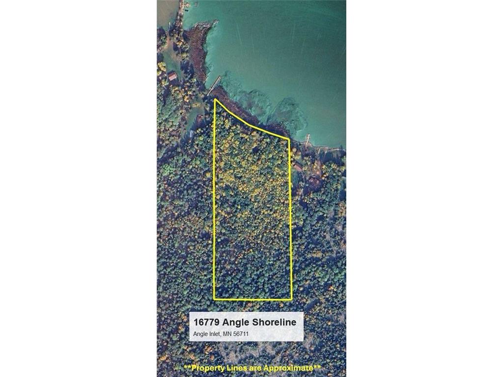 16779 Angle Shoreline Angle Inlet MN 56711 - Lake of The Woods 6763594 image46