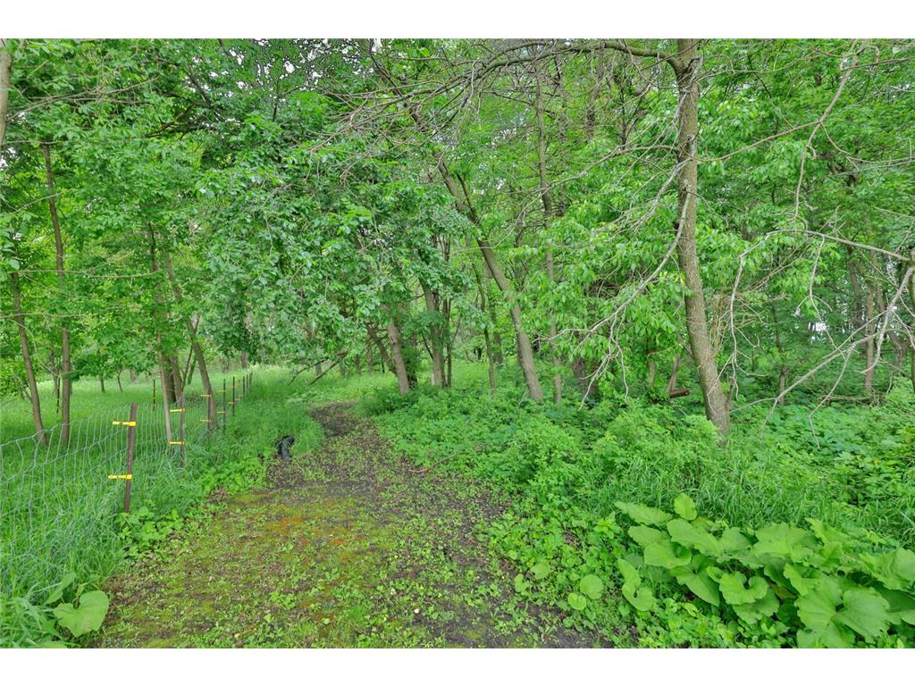 16780 County Road 34 Young America Twp MN 55368 7084338 image10