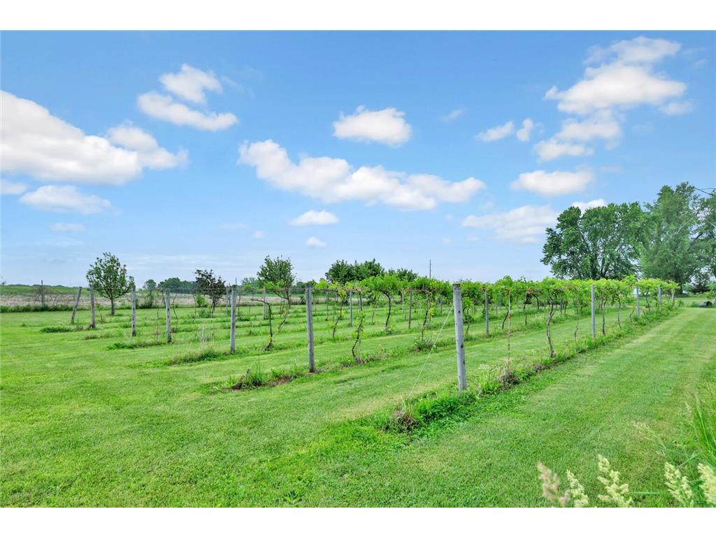 16780 County Road 34 Young America Twp MN 55368 7084338 image11