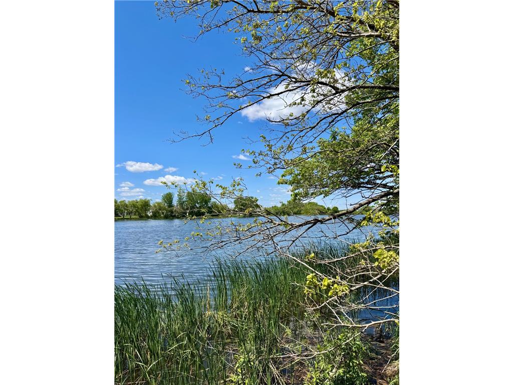 16788 Diamonte Path Lakeville MN 55044 6809586 image17