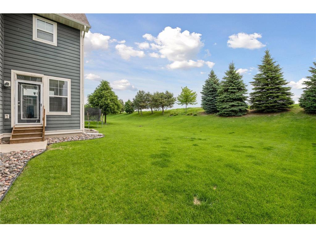16788 Diamonte Path Lakeville MN 55044 6809586 image57