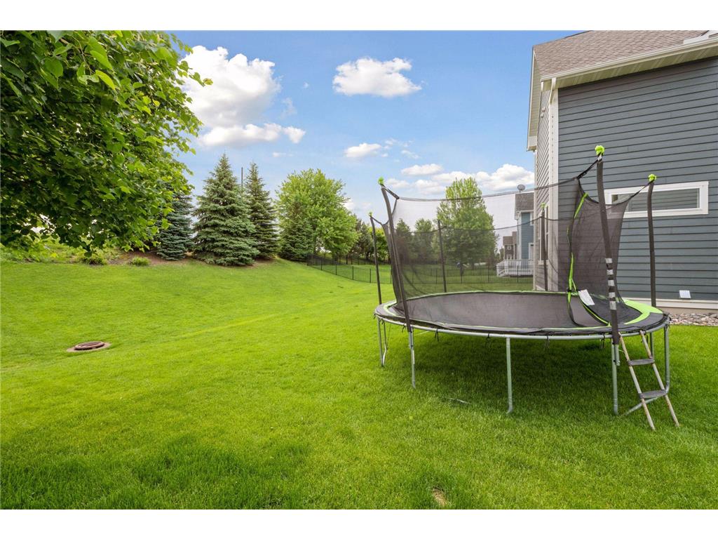 16788 Diamonte Path Lakeville MN 55044 6809586 image60