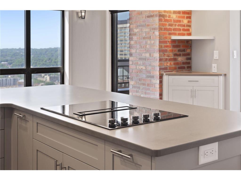 168 6th Street E #2702 Saint Paul MN 55101 6721067 image9