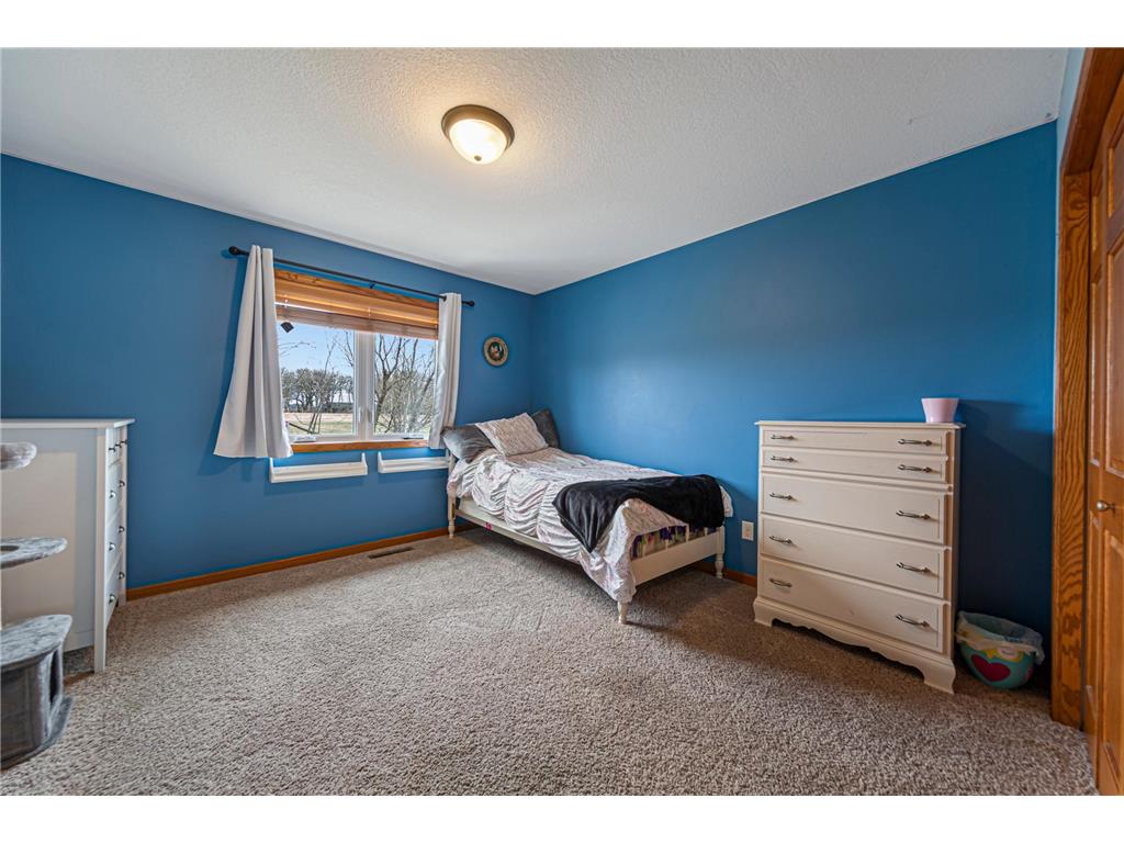 1680 Wood Duck Lane NE Owatonna MN 55060 7051097 image18