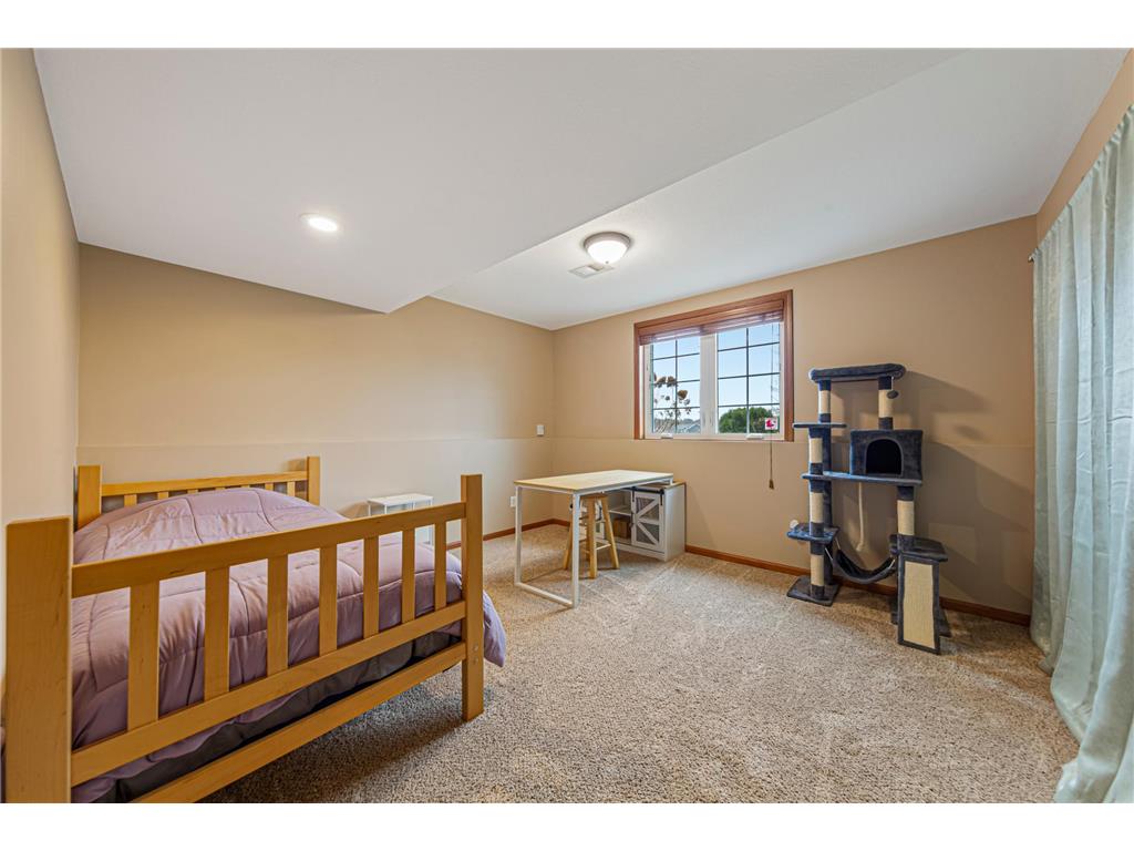 1680 Wood Duck Lane NE Owatonna MN 55060 7051097 image25