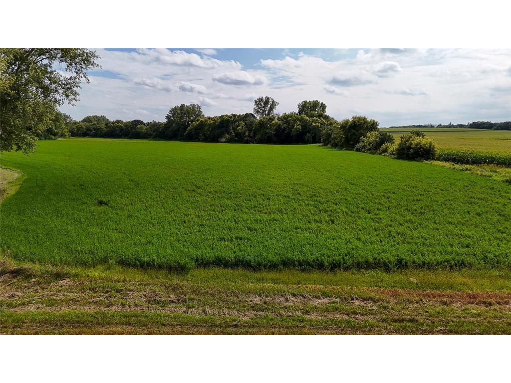 16800 County 168 Boulevard Zumbrota MN 55992 7041588 image25