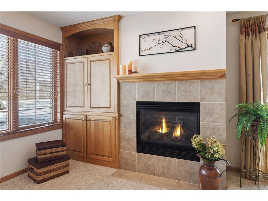 16807 49th Place N Plymouth MN 55446 7041665 image31