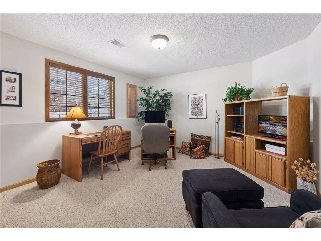 16807 49th Place N Plymouth MN 55446 7041665 image34