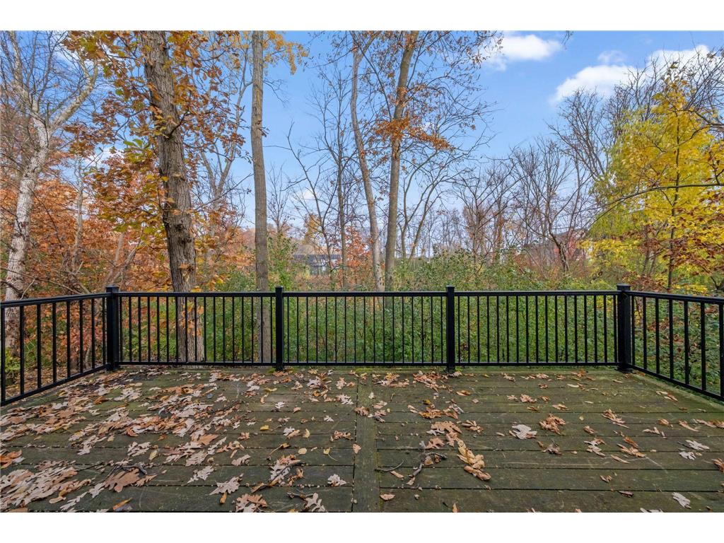 16810 51st Place N Plymouth MN 55446 7004366 image63