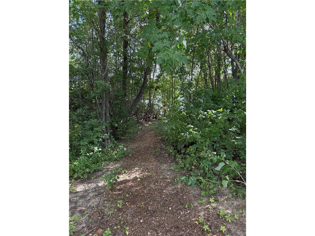 1682 State Highway 11 SE Gudrid Twp MN 56623 - Rainy River 7051992 image52