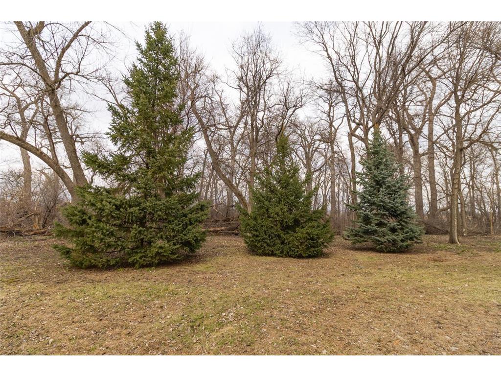 16827 Walden Avenue Lynn Twp MN 55350 7037959 image22