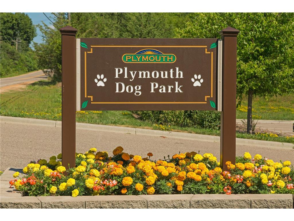 16830 59th Avenue N Plymouth MN 55446 7063914 image61