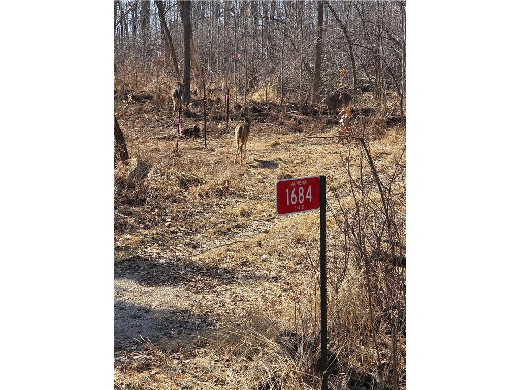 1684 3/4 Street Almena WI 54889 - Horseshoe Lake 7056365 image10
