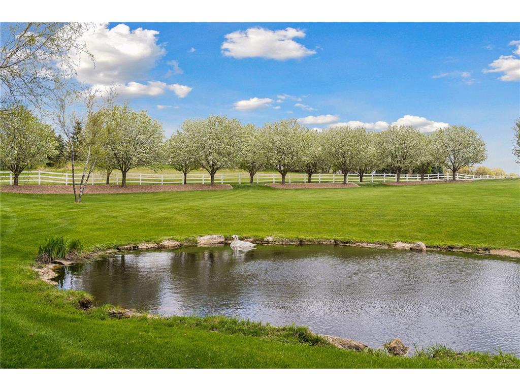 16845 Norell Avenue N May Twp MN 55047 - Long Lake 7015143 image4
