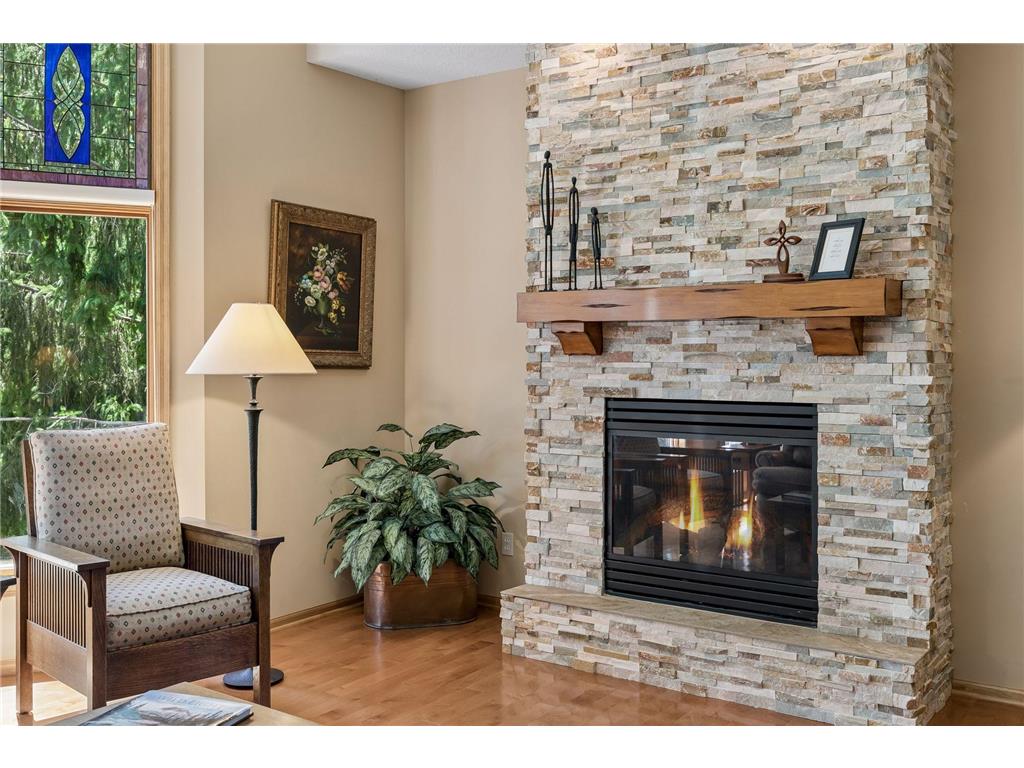 16847 Terrey Pine Drive Eden Prairie MN 55347 - Mitchell 7099672 image14