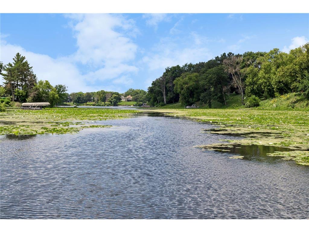 16847 Terrey Pine Drive Eden Prairie MN 55347 - Mitchell 7099672 image4