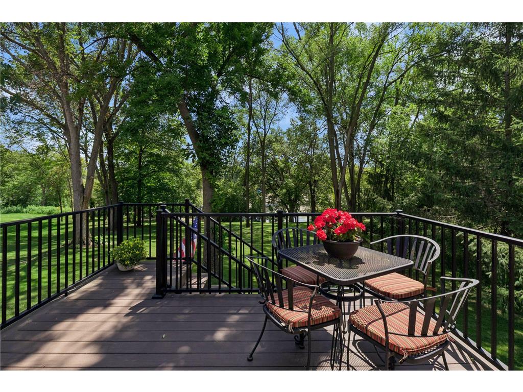 16847 Terrey Pine Drive Eden Prairie MN 55347 - Mitchell 7099672 image45