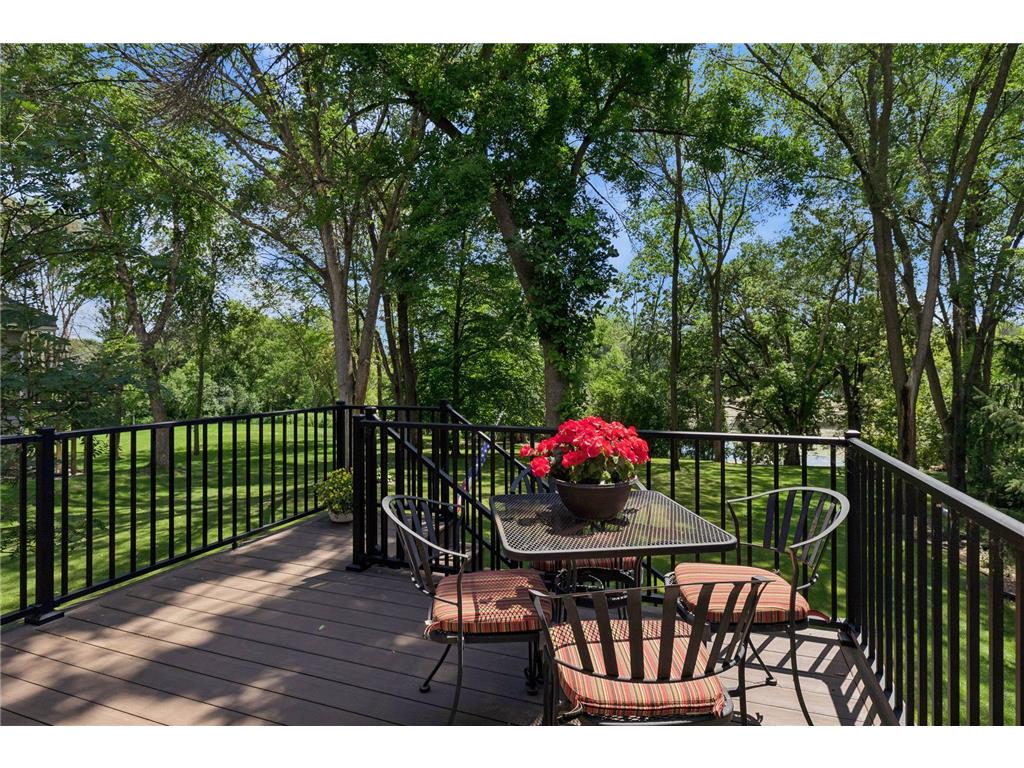 16847 Terrey Pine Drive Eden Prairie MN 55347 - Mitchell 7099672 image46