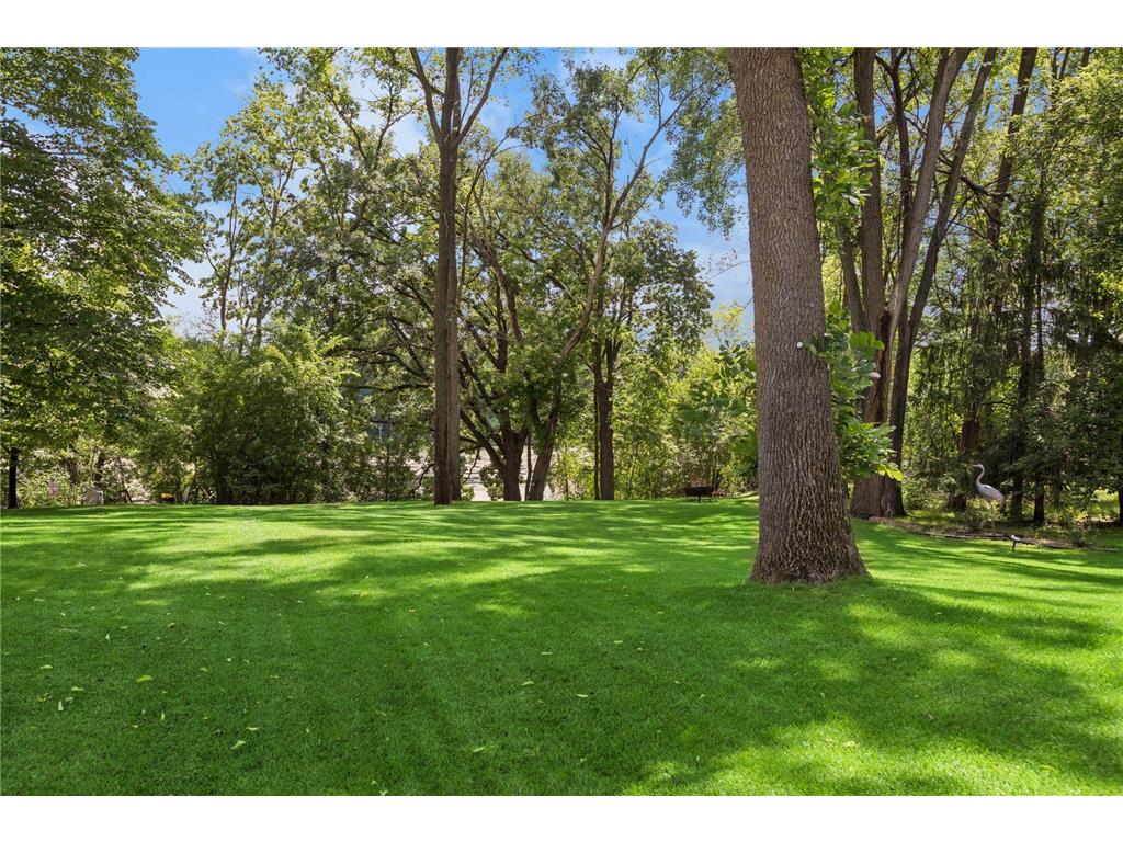 16847 Terrey Pine Drive Eden Prairie MN 55347 - Mitchell 7099672 image48