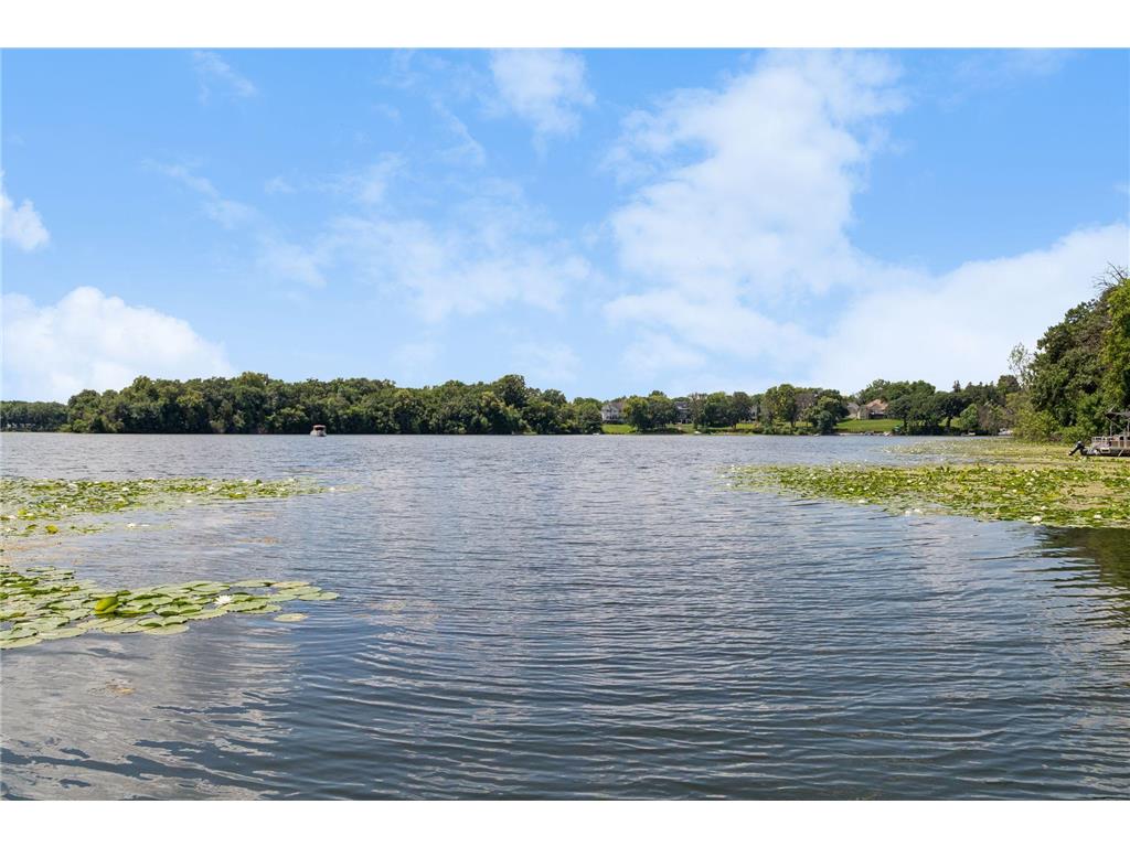 16847 Terrey Pine Drive Eden Prairie MN 55347 - Mitchell 7099672 image50