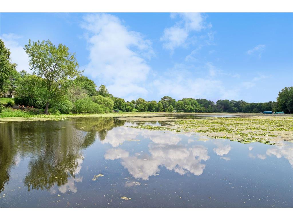 16847 Terrey Pine Drive Eden Prairie MN 55347 - Mitchell 7099672 image52
